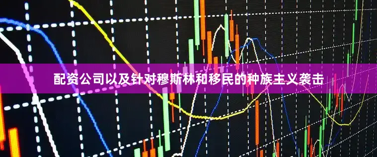 配资公司以及针对穆斯林和移民的种族主义袭击