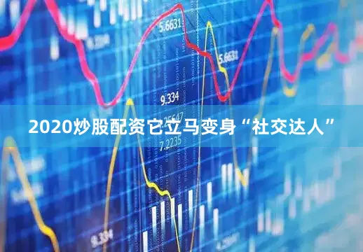2020炒股配资它立马变身“社交达人”