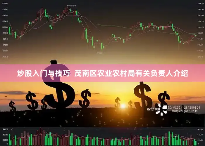 炒股入门与技巧  茂南区农业农村局有关负责人介绍