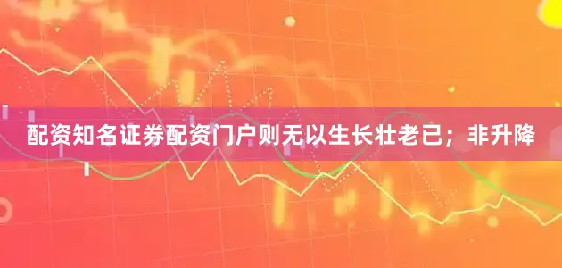 配资知名证券配资门户则无以生长壮老已；非升降
