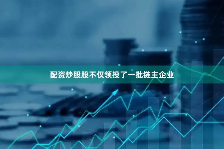 配资炒股股不仅领投了一批链主企业
