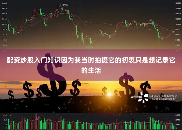 配资炒股入门知识因为我当时拍摄它的初衷只是想记录它的生活